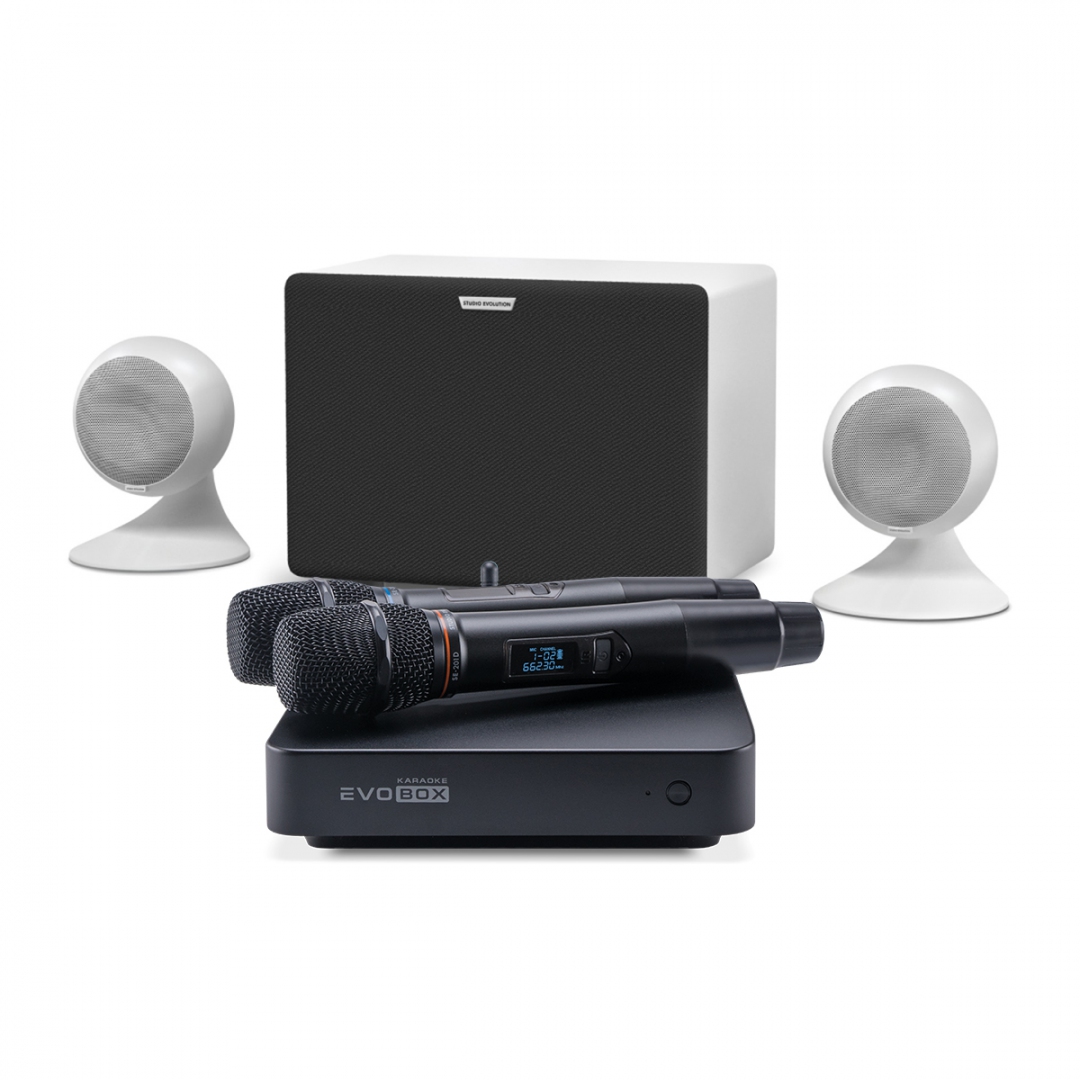 караоке-комплект EVOBOX Classic + EvoSound Sphere 2.1 в Назрани