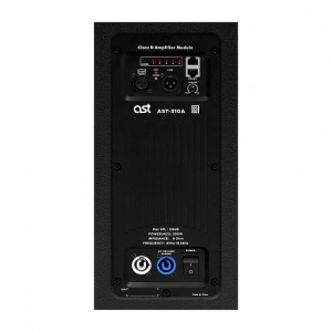 Активная акустическая система AST-310A в Назрани
